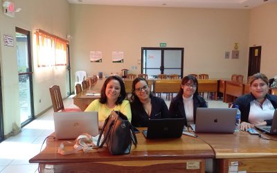 Taller sobre el uso de la plataforma LimeSurvey 6.4.2.