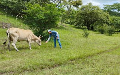 Prácticas de Especialización para Estudiantes de Ingeniería Agropecuaria y Medicina Veterinaria