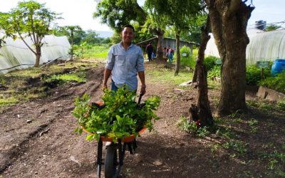 Prácticas de Especialización: Desarrollo Rural