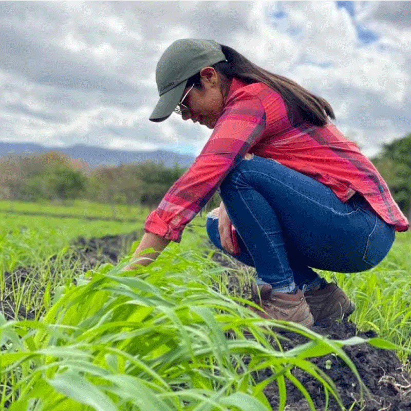 Agropecuaria