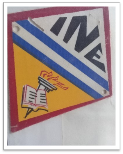Imagen8