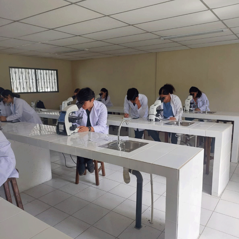 LaboratorioMicro